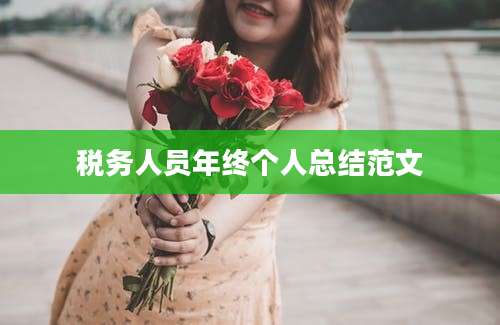 税务人员年终个人总结范文
