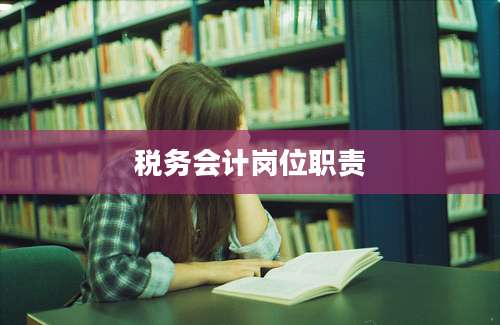 税务会计岗位职责