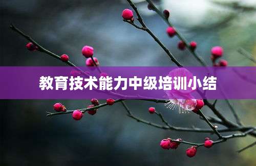 教育技术能力中级培训小结
