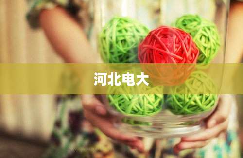 河北电大
