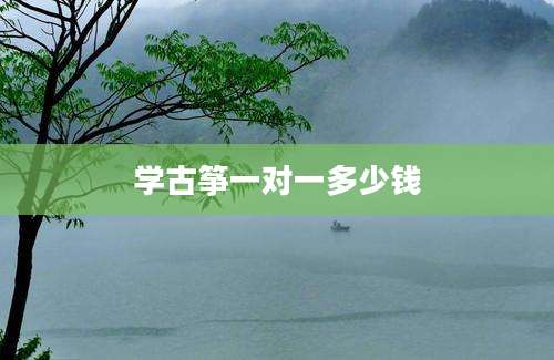学古筝一对一多少钱