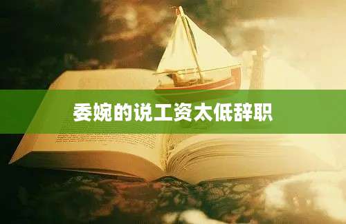 委婉的说工资太低辞职
