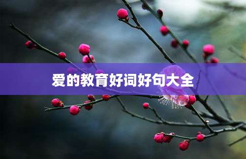 爱的教育好词好句大全