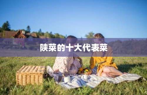 陕菜的十大代表菜