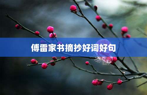 傅雷家书摘抄好词好句