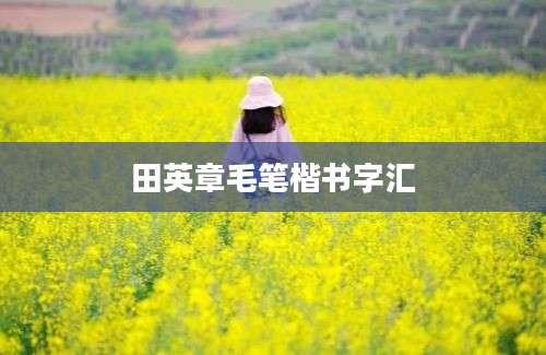 田英章毛笔楷书字汇