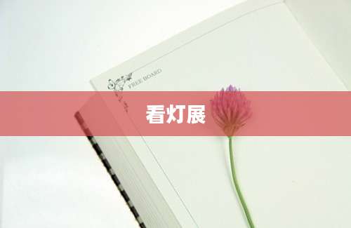 看灯展