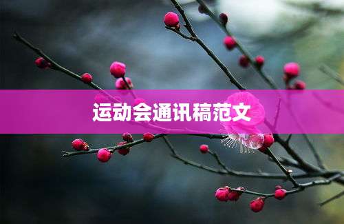 运动会通讯稿范文