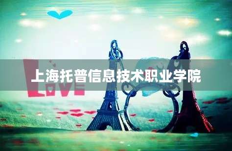 上海托普信息技术职业学院