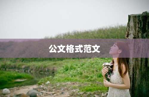 公文格式范文