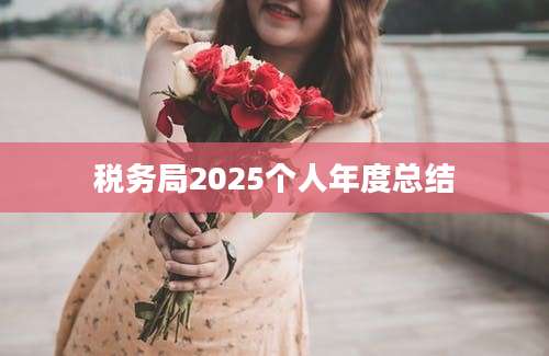 税务局2025个人年度总结