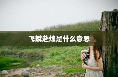 飞蛾赴烛是什么意思