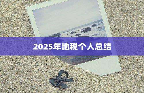 2025年地税个人总结