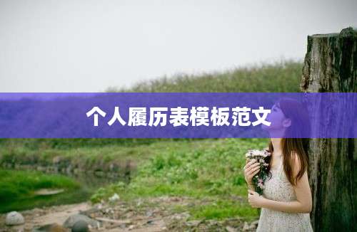 个人履历表模板范文