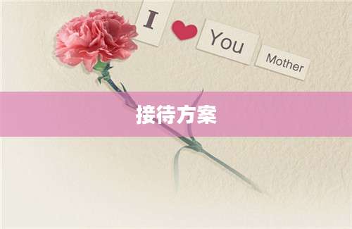 接待方案
