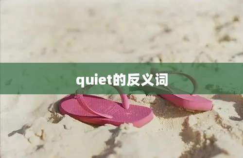 quiet的反义词