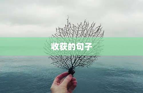 收获的句子