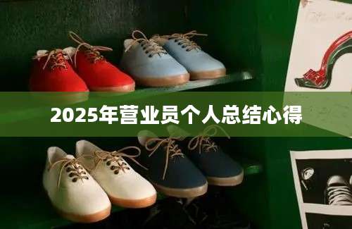 2025年营业员个人总结心得