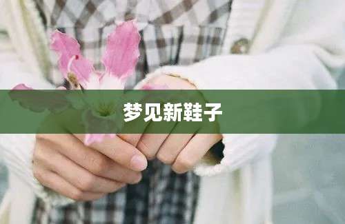 梦见新鞋子