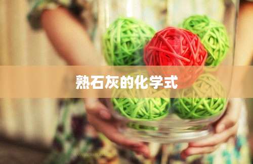 熟石灰的化学式