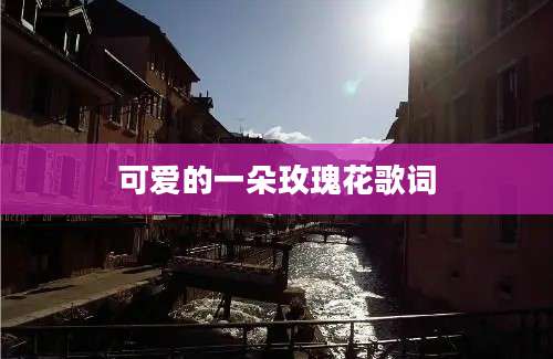 可爱的一朵玫瑰花歌词