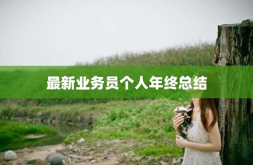 最新业务员个人年终总结