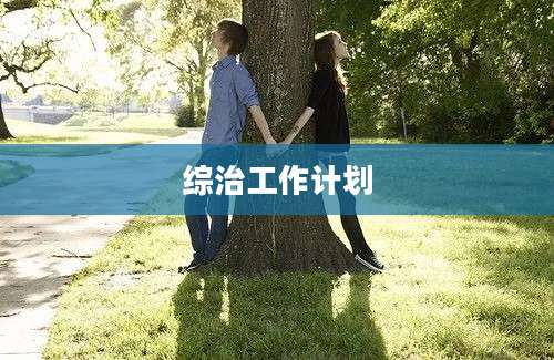 综治工作计划