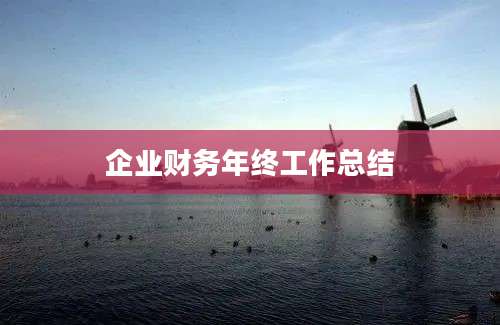 企业财务年终工作总结