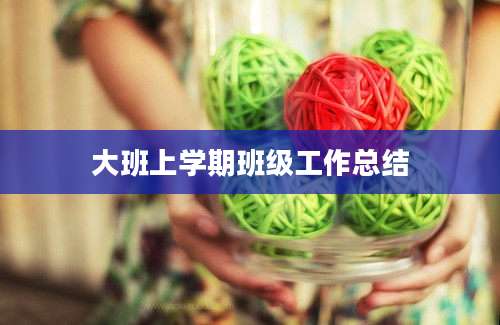 大班上学期班级工作总结