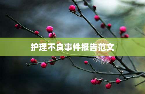 护理不良事件报告范文