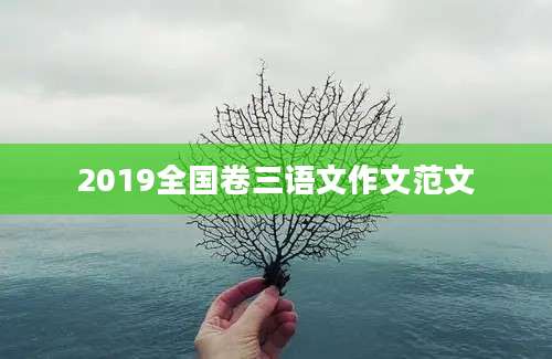 2019全国卷三语文作文范文
