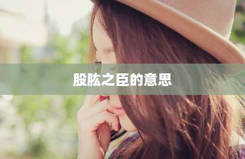 股肱之臣的意思