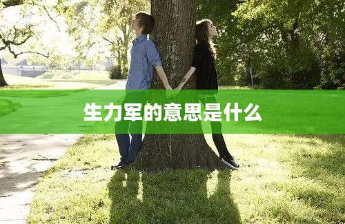 生力军的意思是什么