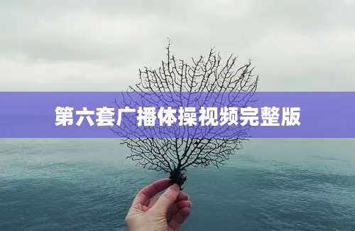 第六套广播体操视频完整版