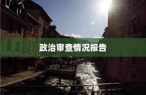 政治审查情况报告