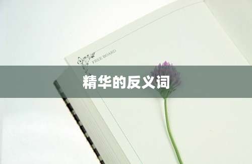 精华的反义词