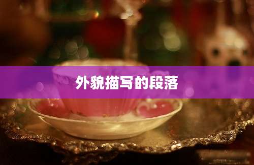 外貌描写的段落