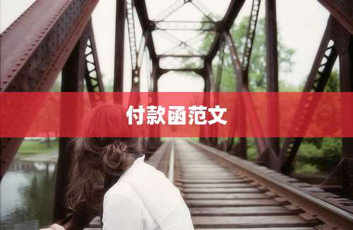 付款函范文