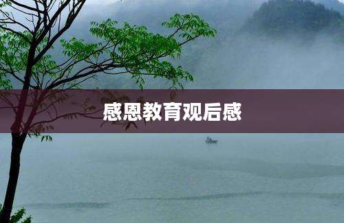 感恩教育观后感