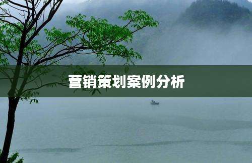 营销策划案例分析