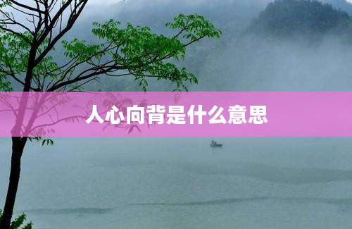 人心向背是什么意思