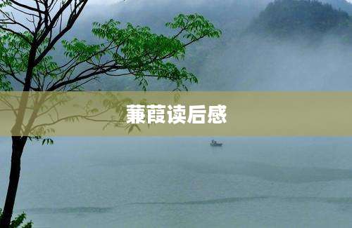 蒹葭读后感