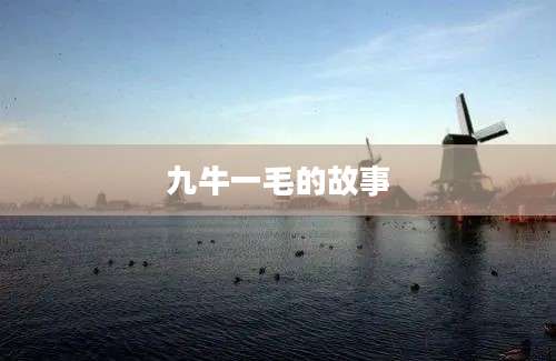 九牛一毛的故事