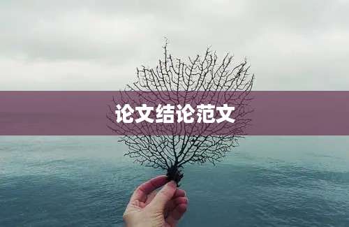 论文结论范文