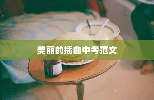 美丽的插曲中考范文