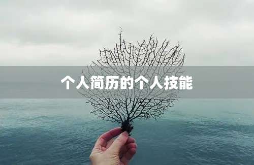 个人简历的个人技能