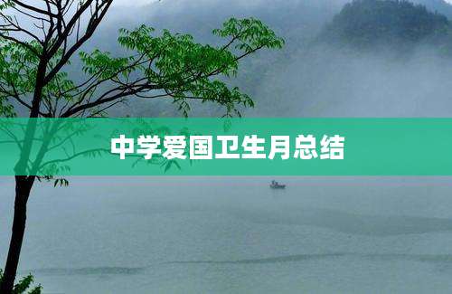 中学爱国卫生月总结