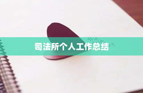 司法所个人工作总结