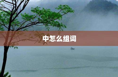 中怎么组词