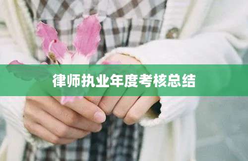 律师执业年度考核总结